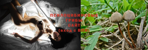Альфа ПВП Армянск